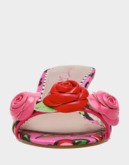 LAMBERT FUCHSIA ROSE